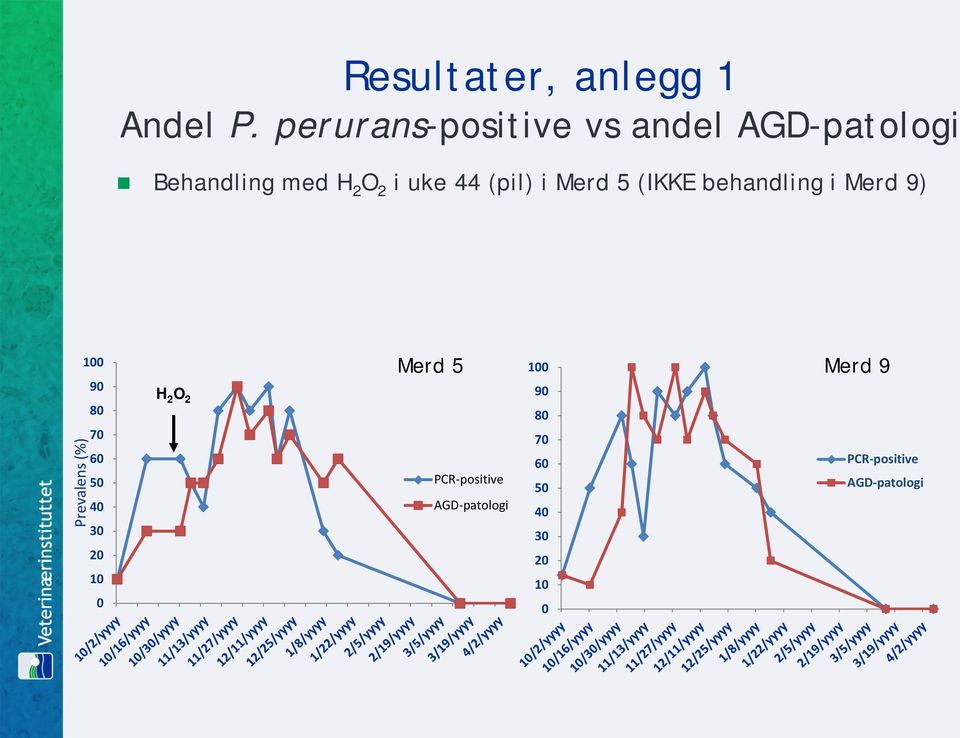 (pil) i Merd 5 (IKKE behandling i Merd 9) Prevalens (%) 100 90 80 70 60 50