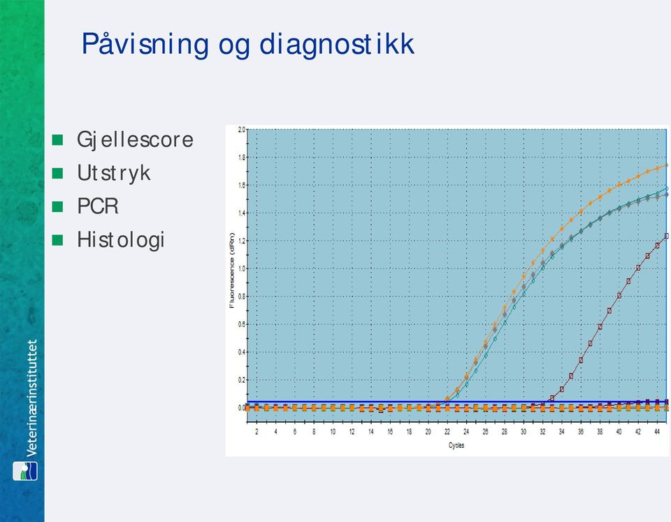 Gjellescore