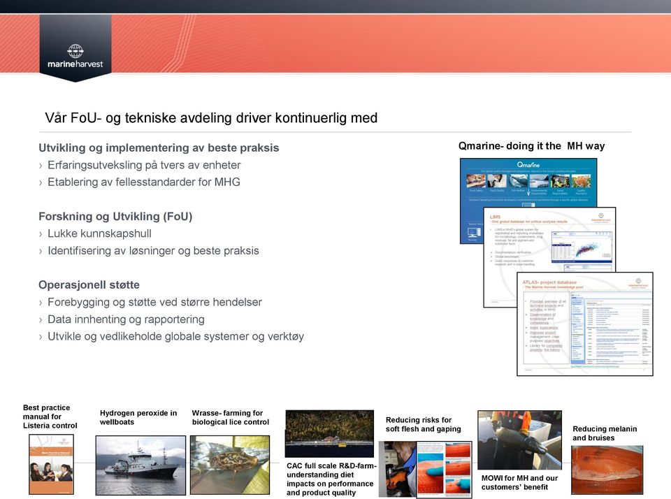 innhenting og rapportering Utvikle og vedlikeholde globale systemer og verktøy Best practice manual for Listeria control Hydrogen peroxide in wellboats Wrasse- farming for biological lice