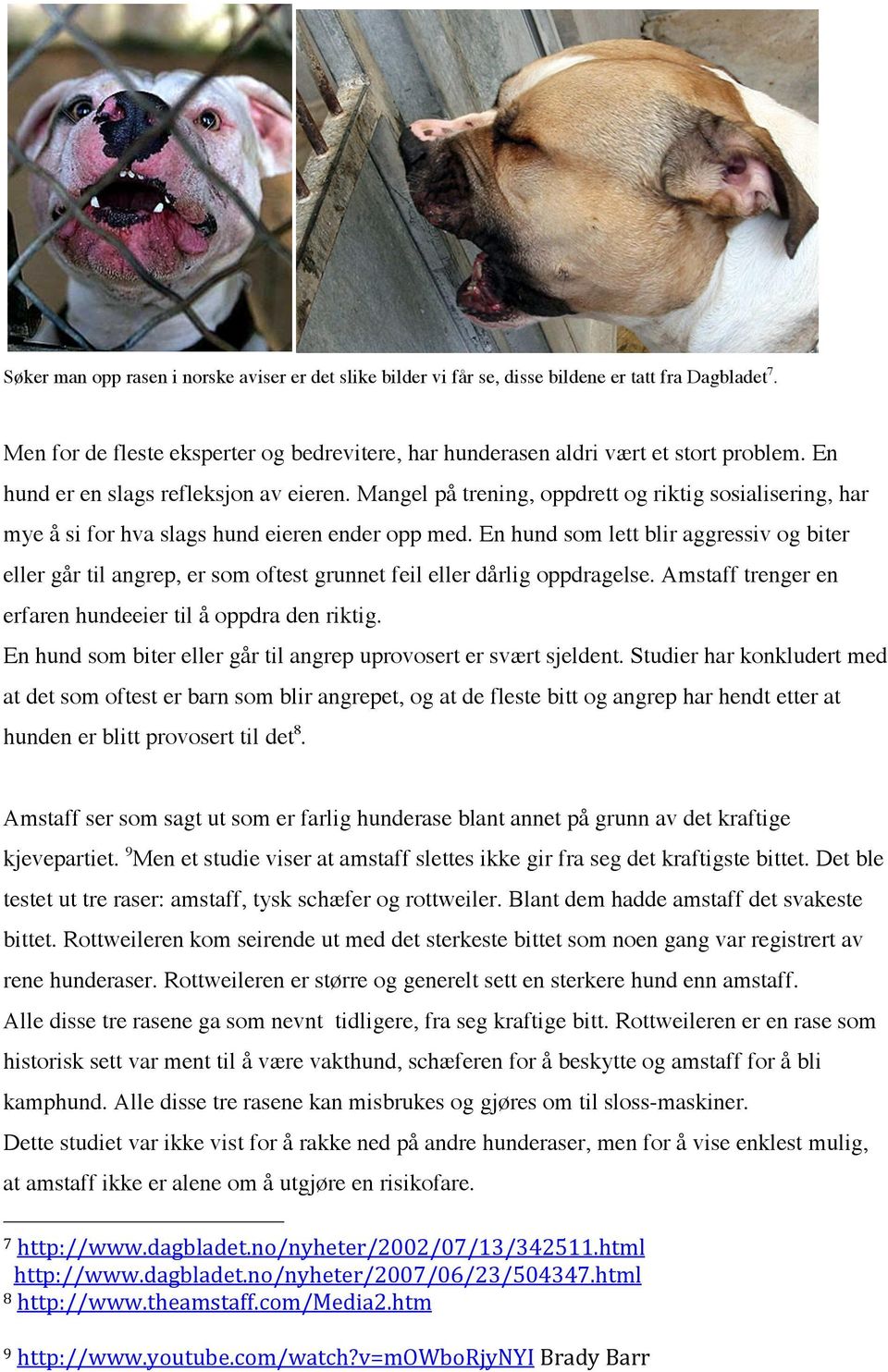 En hund som lett blir aggressiv og biter eller går til angrep, er som oftest grunnet feil eller dårlig oppdragelse. Amstaff trenger en erfaren hundeeier til å oppdra den riktig.