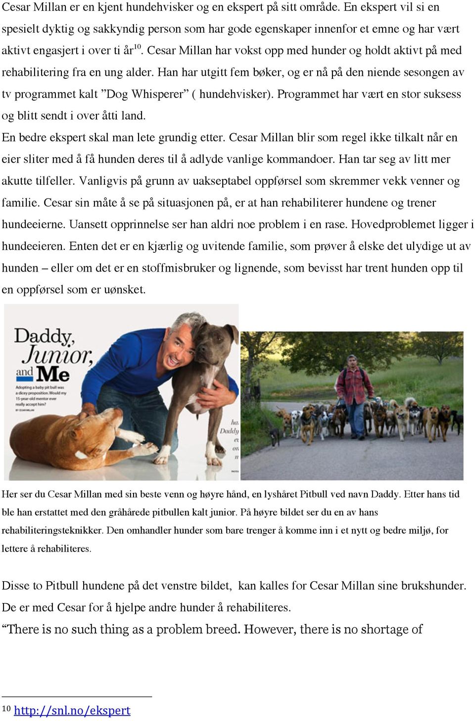 Cesar Millan har vokst opp med hunder og holdt aktivt på med rehabilitering fra en ung alder.