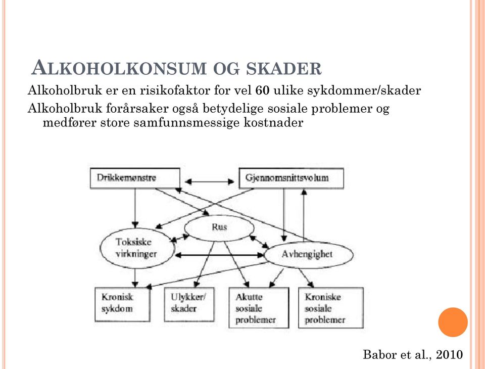 Alkoholbruk forårsaker også betydelige sosiale