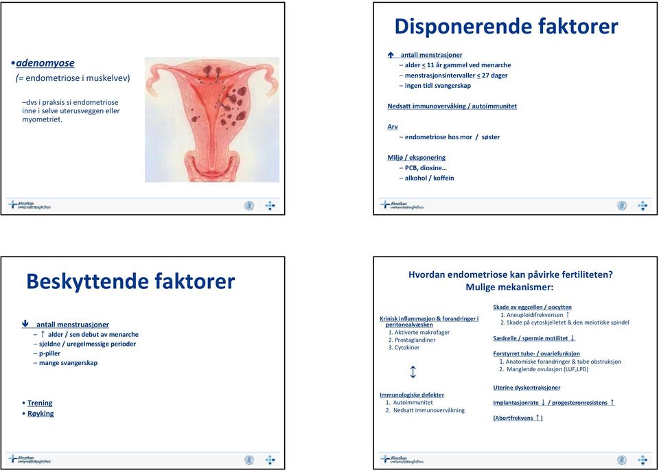 eksponering PCB, dioxine alkohol / koffein Beskyttende faktorer Hvordan endometriose kan påvirke fertiliteten?