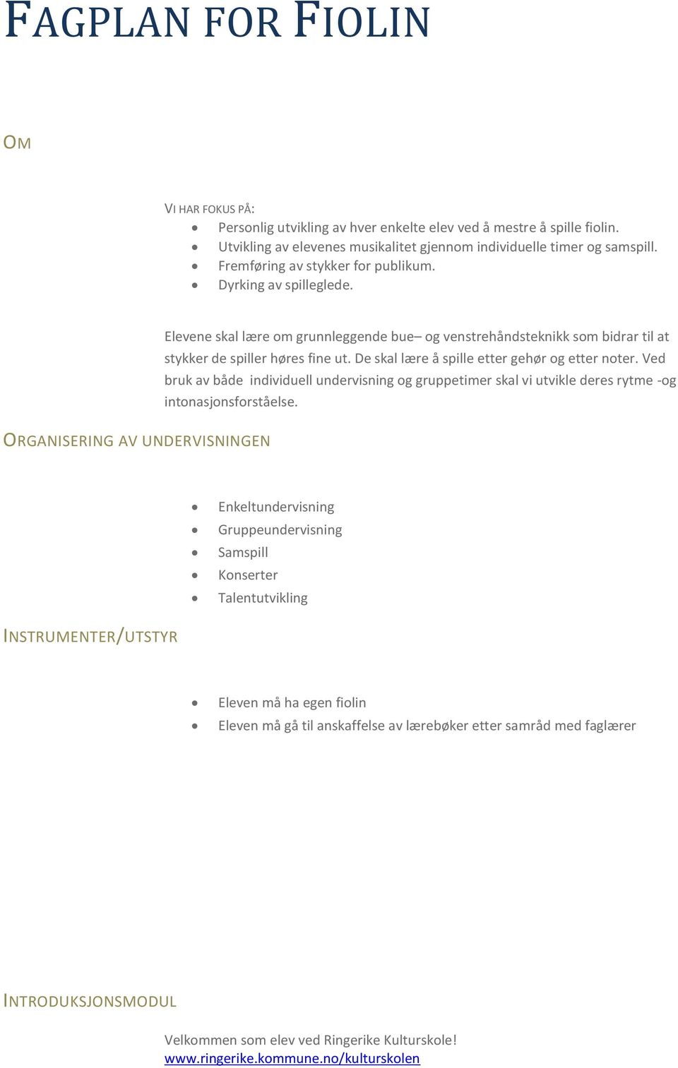 De skal lære å spille etter gehør og etter noter. Ved bruk av både individuell undervisning og gruppetimer skal vi utvikle deres rytme -og intonasjonsforståelse.