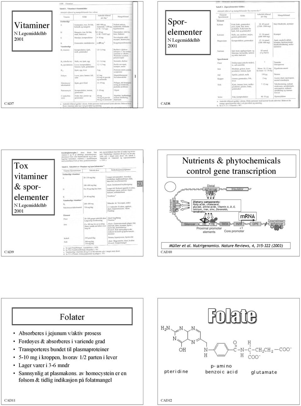 mrna CAD9 CAD10 Müller et al. Nutrigenomics.