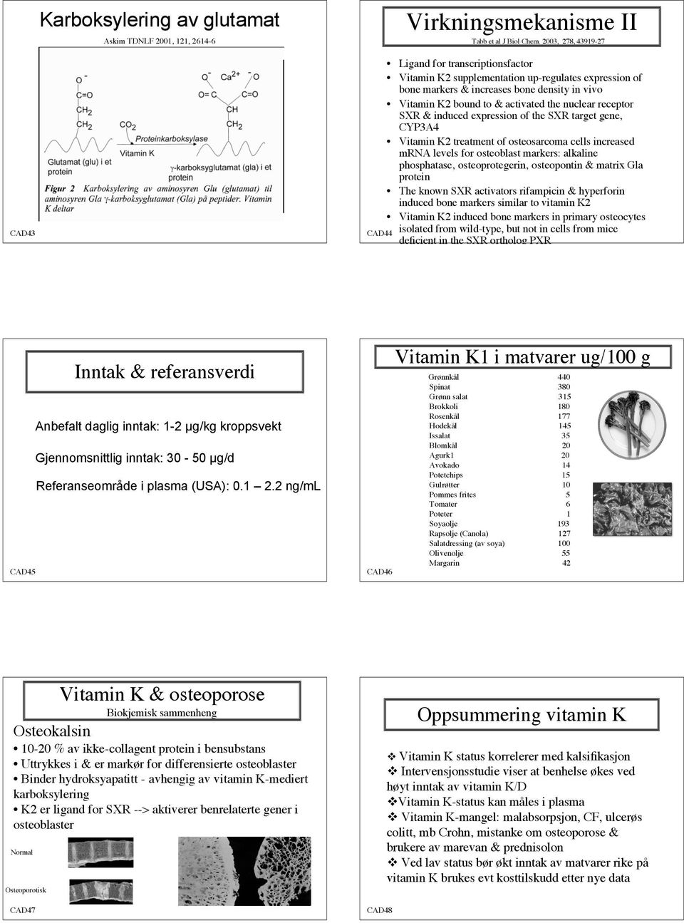 receptor SXR & induced expression of the SXR target gene, CYP3A4 Vitamin K2 treatment of osteosarcoma cells increased mrna levels for osteoblast markers: alkaline phosphatase, osteoprotegerin,