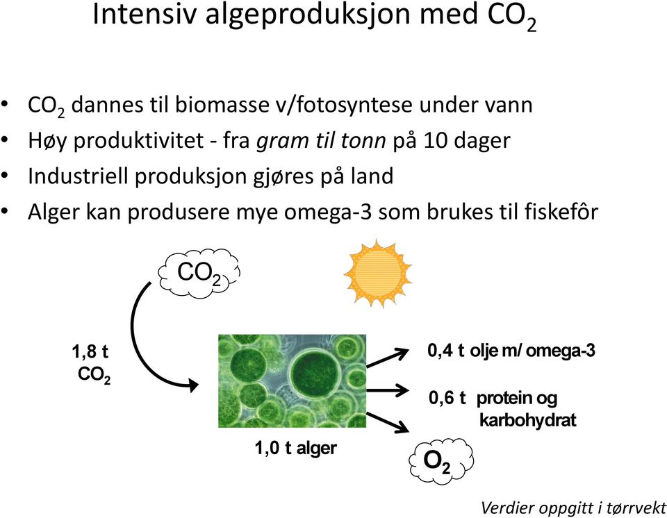 land Alger kan produsere mye omega-3 som brukes til fiskefôr CO 2 O 2 1,8 t CO 2 1,0