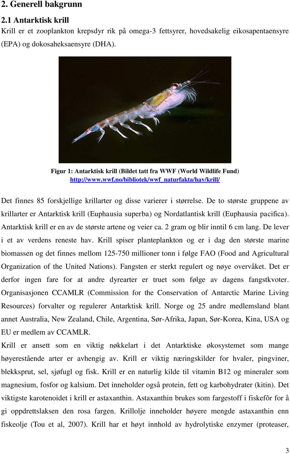 De to største gruppene av krillarter er Antarktisk krill (Euphausia superba) og Nordatlantisk krill (Euphausia pacifica). Antarktisk krill er en av de største artene og veier ca.