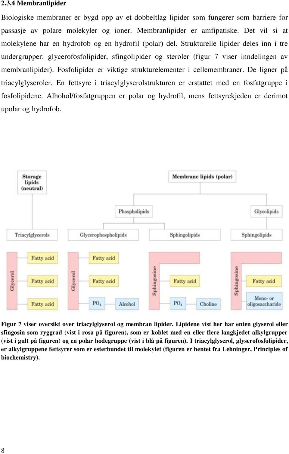 Strukturelle lipider deles inn i tre undergrupper: glycerofosfolipider, sfingolipider og steroler (figur 7 viser inndelingen av membranlipider).