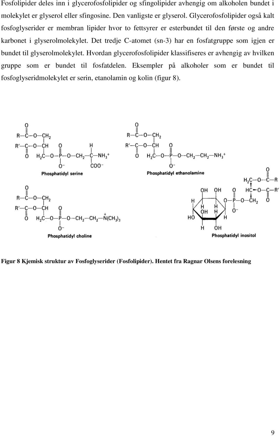 Det tredje C-atomet (sn-3) har en fosfatgruppe som igjen er bundet til glyserolmolekylet.