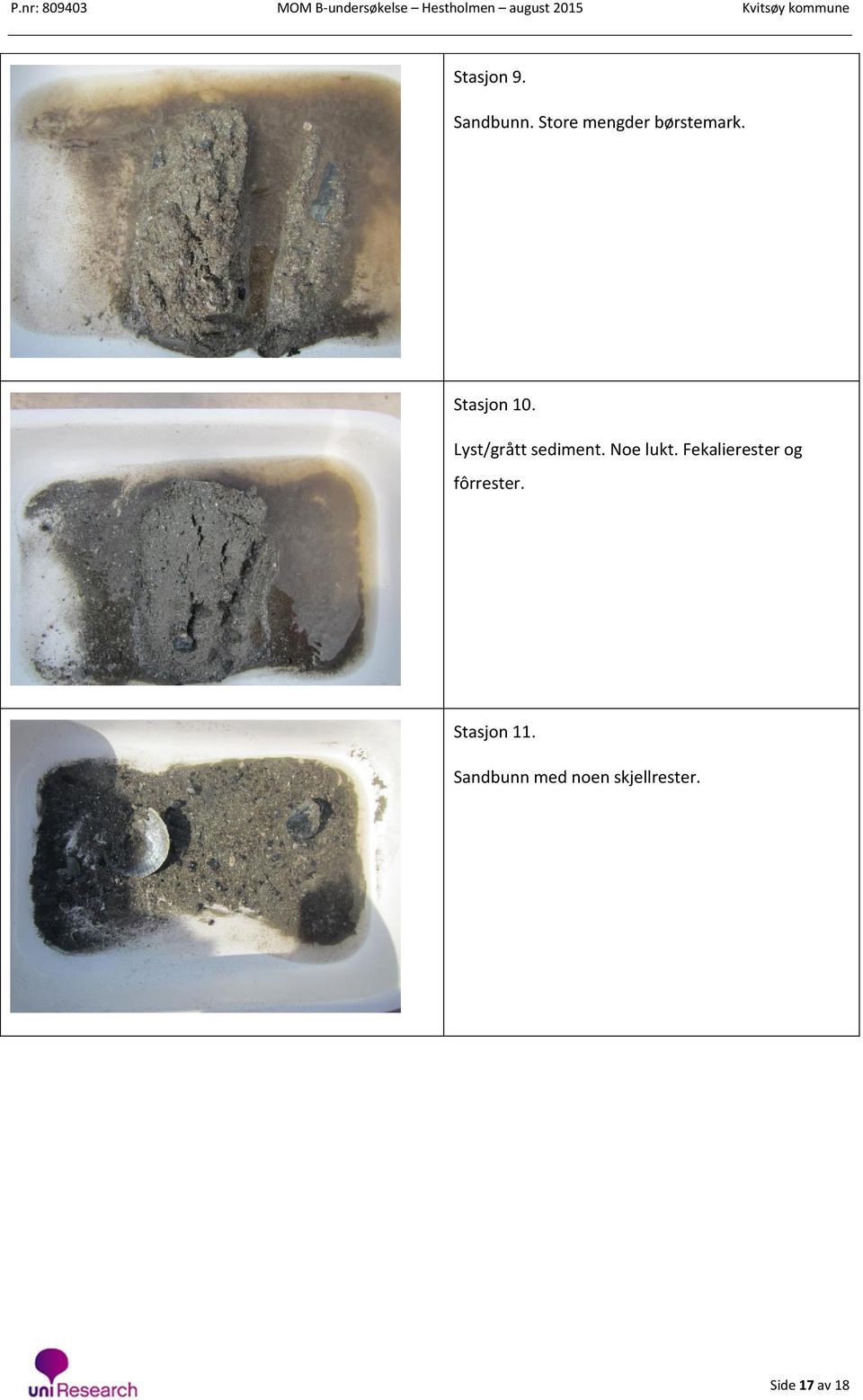 Lyst/grått sediment. Noe lukt.