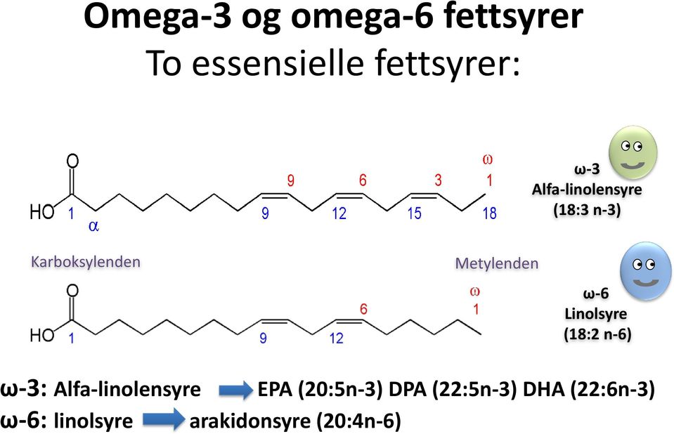 Linolsyre (18:2 n-6) ω-3: Alfa-linolensyre EPA (20:5n-3)
