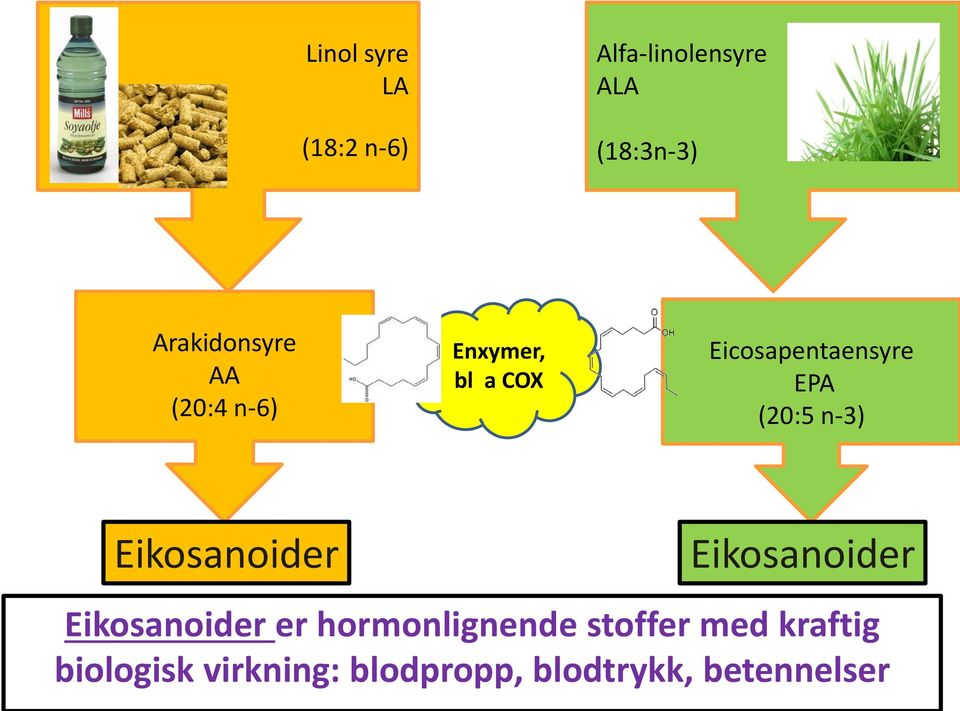 EPA (20:5 n-3) Eikosanoider Eikosanoider Eikosanoider er