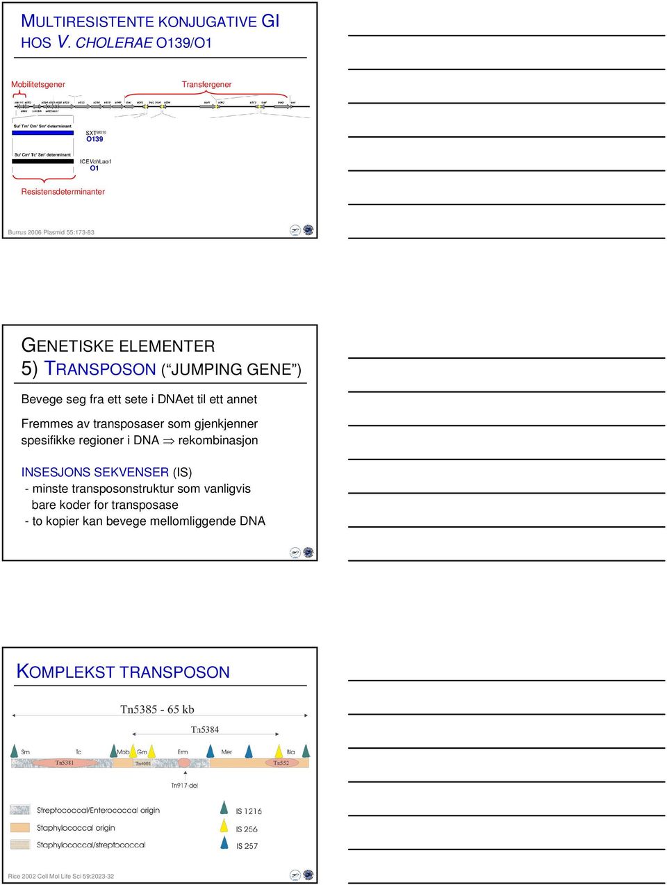 5) TRANSPOSON ( JUMPING GENE ) Bevege seg fra ett sete i DNAet til ett annet Fremmes av transposaser som gjenkjenner spesifikke