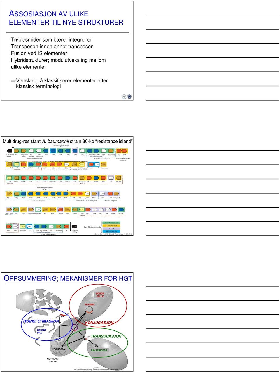 baumannii strain 86-kb resistance island Fournier 2006 PLoS Genetics 2:62-72 OPPSUMMERING; MEKANISMER FOR HGT DONOR CELLE PLASMID TRANSFORMASJON