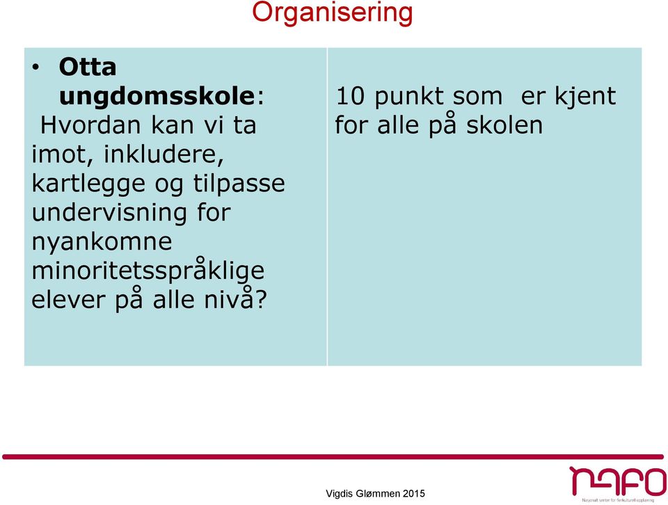 undervisning for nyankomne minoritetsspråklige