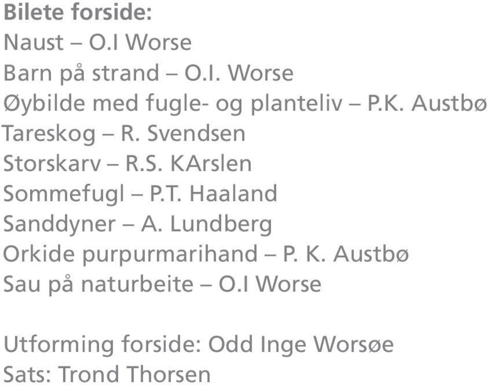 Lundberg Orkide purpurmarihand P. K. Austbø Sau på naturbeite O.