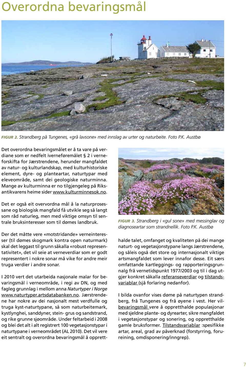 element, dyre- og planteartar, naturtypar med eleveområde, samt dei geologiske naturminna. Mange av kulturminna er no 