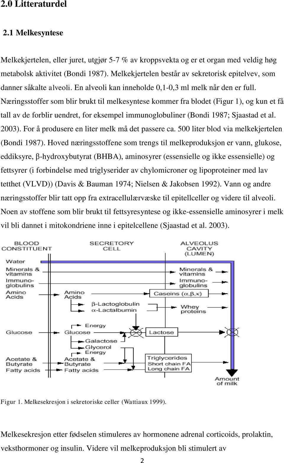 Næringsstoffer som blir brukt til melkesyntese kommer fra blodet (Figur 1), og kun et få tall av de forblir uendret, for eksempel immunoglobuliner (Bondi 1987; Sjaastad et al. 2003).