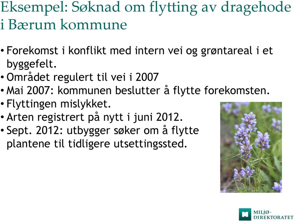 Området regulert til vei i 2007 Mai 2007: kommunen beslutter å flytte forekomsten.