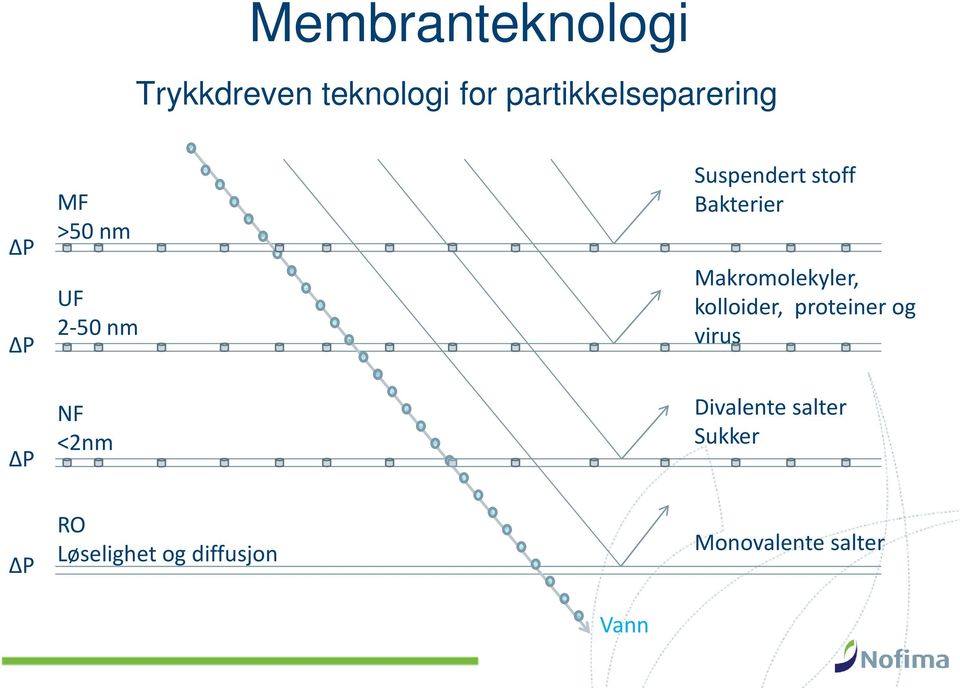 Bakterier Makromolekyler, kolloider, proteiner og virus