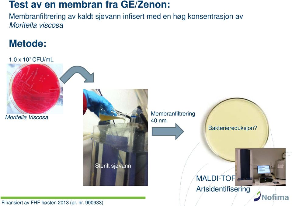 0 x 10 7 CFU/mL Moritella Viscosa Membranfiltrering 40 nm Bakteriereduksjon?