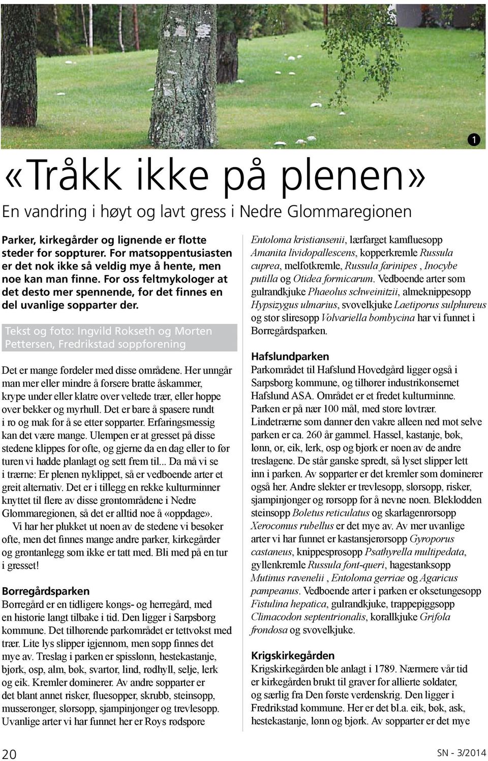 Tekst og foto: Ingvild Rokseth og Morten Pettersen, Fredrikstad soppforening Det er mange fordeler med disse områdene.