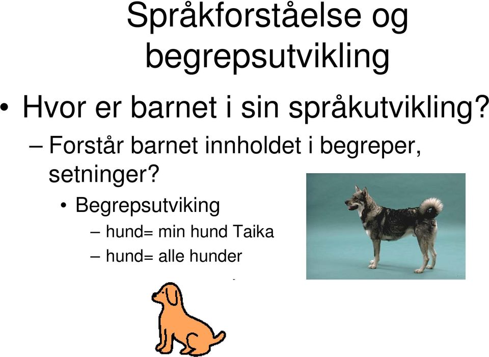 Forstår barnet innholdet i begreper,