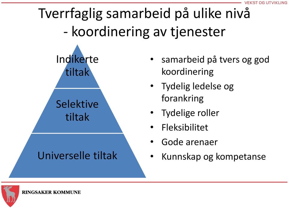 samarbeid på tvers og god koordinering Tydelig ledelse og