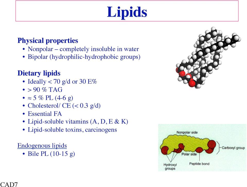 TAG 5 % PL (4-6 g) Cholesterol/ CE (< 0.
