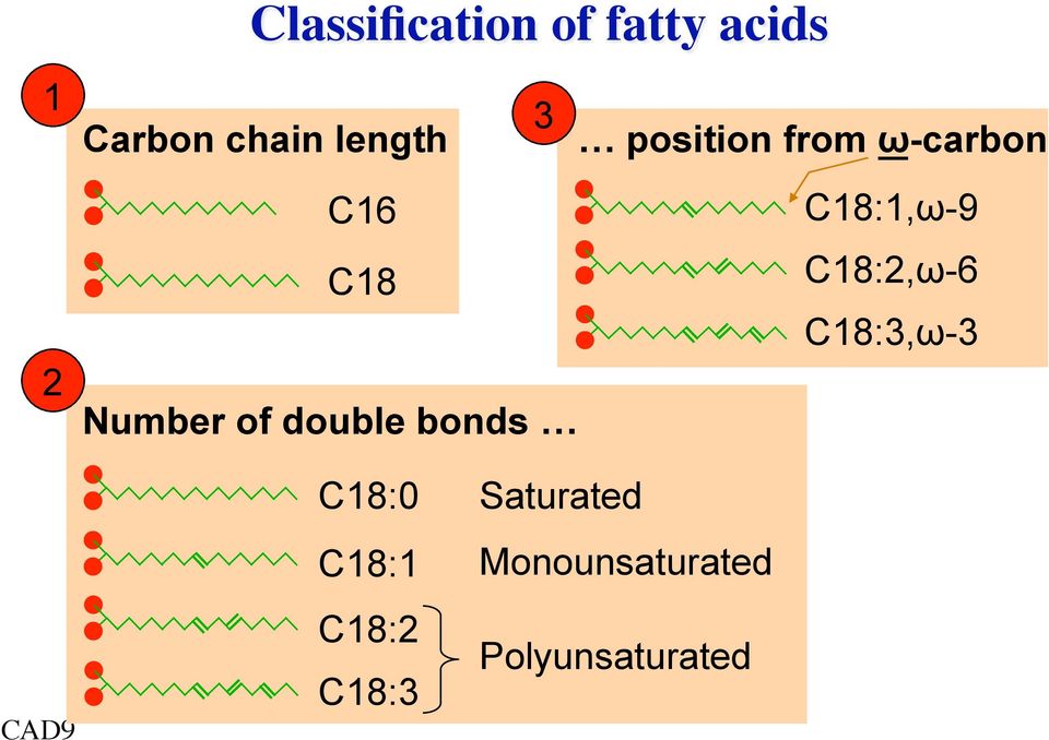 C18:2,ω-6 C18:3,ω-3 Number of double bonds CAD9