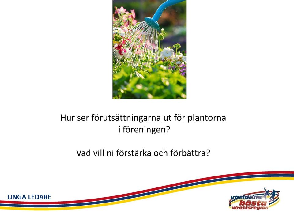 föreningen?