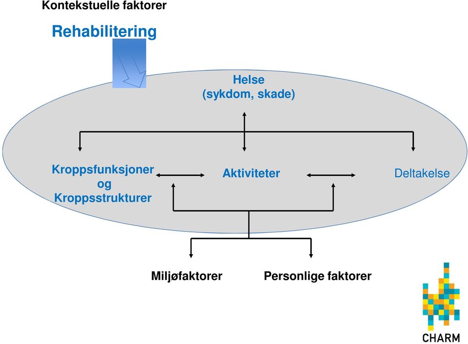 og Kroppsstrukturer Aktiviteter