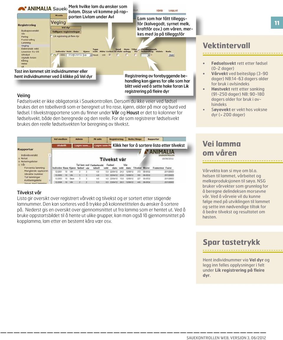 alle som har blitt veid ved å sette hake foran Lik registrering på fleire dyr Veiing Fødselsvekt er ikke obligatorisk i Sauekontrollen.