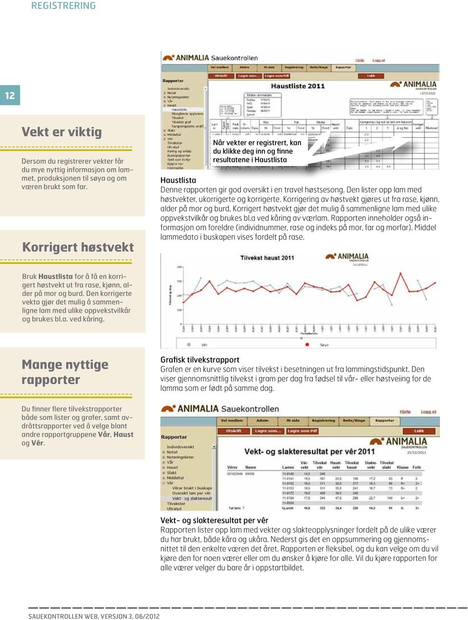 Den lister opp lam med høstvekter, ukorrigerte og korrigerte. Korrigering av høstvekt gjøres ut fra rase, kjønn, alder på mor og burd.