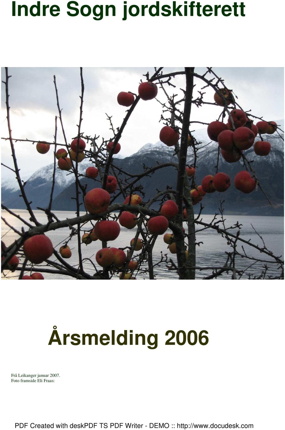 Årsmelding 2006 Frå