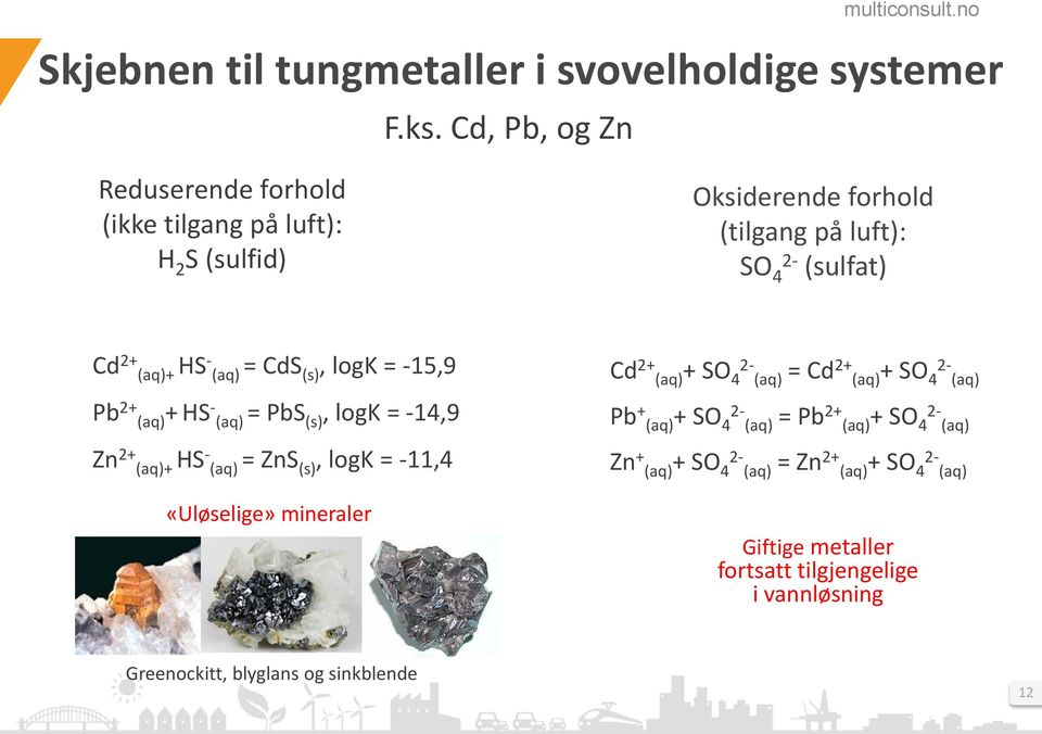 (aq) = CdS (s), logk = -15,9 Pb 2+ (aq)+ HS - (aq) = PbS (s), logk = -14,9 Zn 2+ (aq)+ HS - (aq) = ZnS (s), logk = -11,4 «Uløselige» mineraler Cd