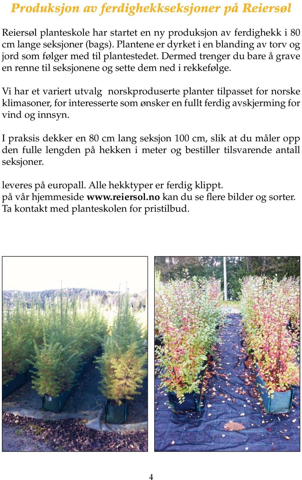 Vi har et variert utvalg norskproduserte planter tilpasset for norske klimasoner, for interesserte som ønsker en fullt ferdig avskjerming for vind og innsyn.