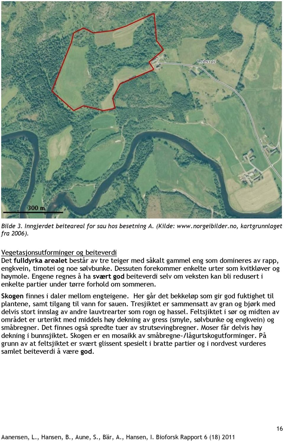 Dessuten forekommer enkelte urter som kvitkløver og høymole. Engene regnes å ha svært god beiteverdi selv om veksten kan bli redusert i enkelte partier under tørre forhold om sommeren.