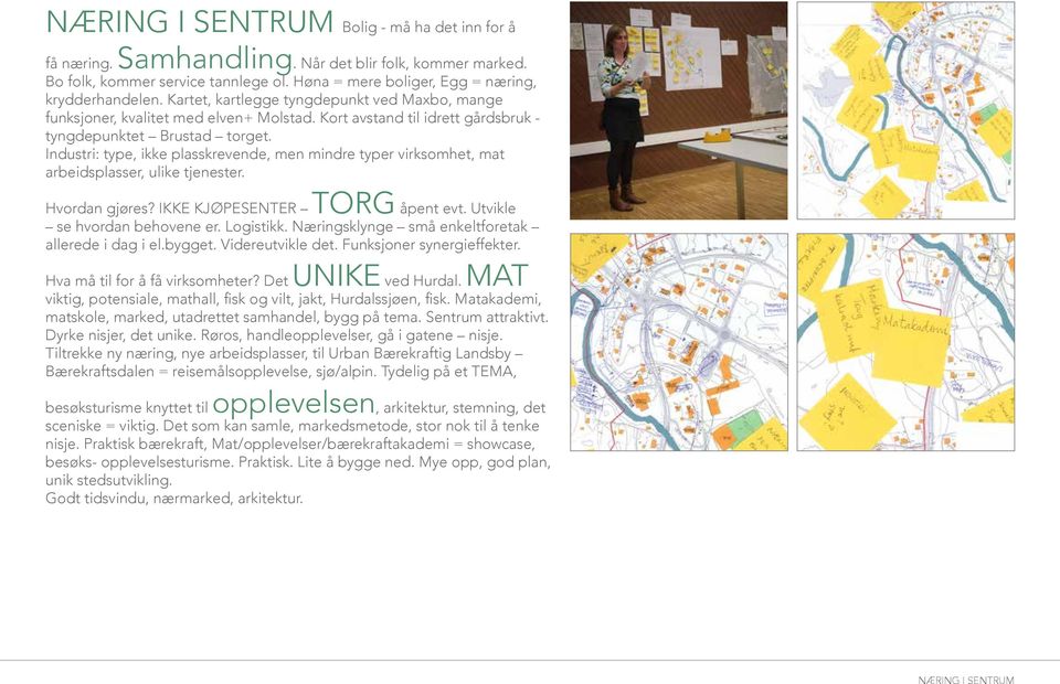 Industri: type, ikke plasskrevende, men mindre typer virksomhet, mat arbeidsplasser, ulike tjenester. Hvordan gjøres? IKKE KJØPESENTER TORG åpent evt. Utvikle se hvordan behovene er. Logistikk.