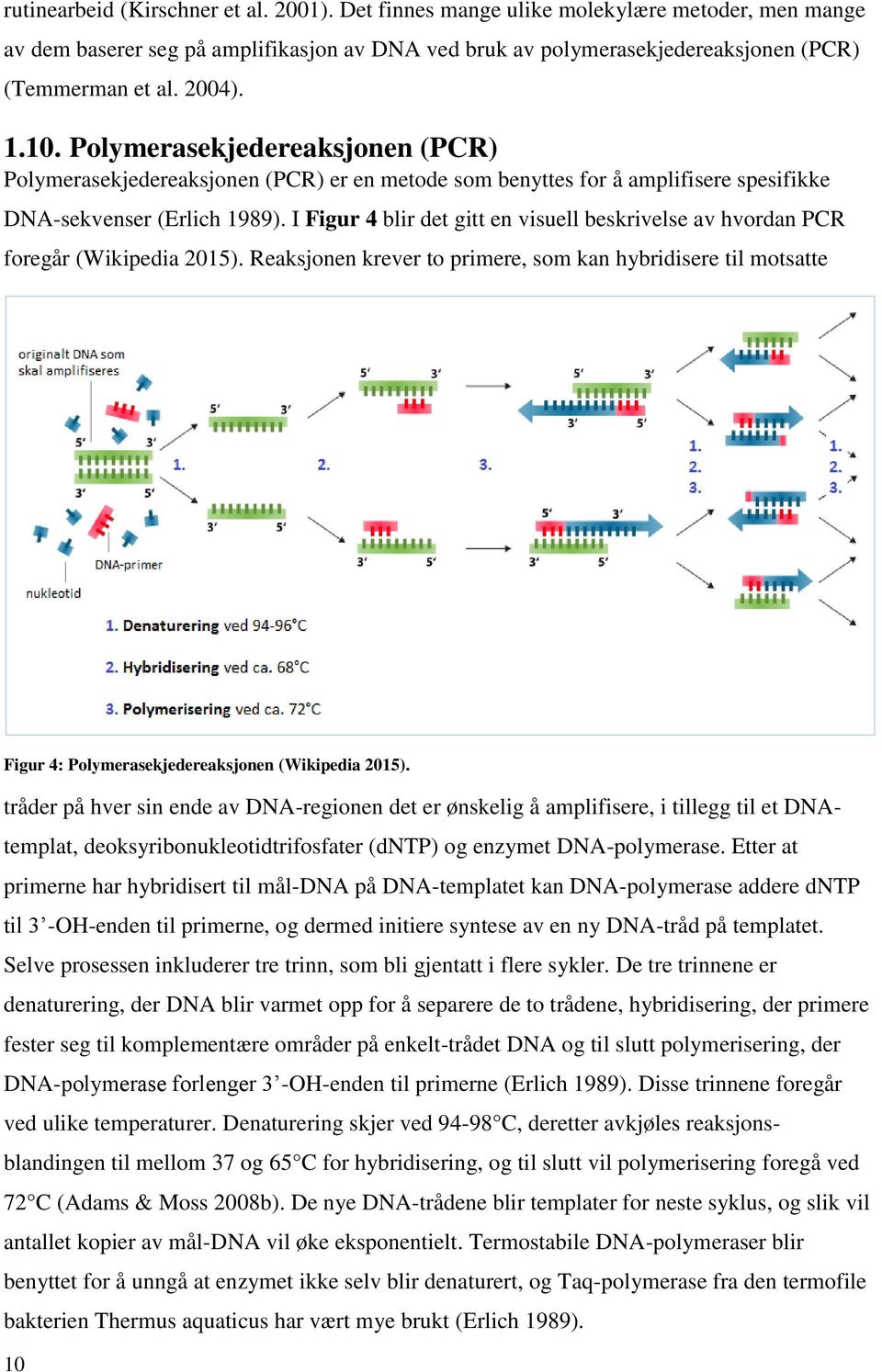 I Figur 4 blir det gitt en visuell beskrivelse av hvordan PCR foregår (Wikipedia 2015).