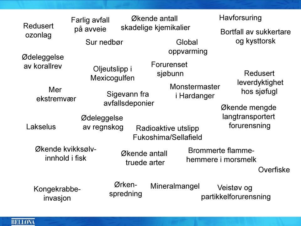 Fukoshima/Sellafield Økende antall truede arter Forurenset sjøbunn Havforsuring Bortfall av sukkertare og kysttorsk Brommerte flammehemmere i morsmelk