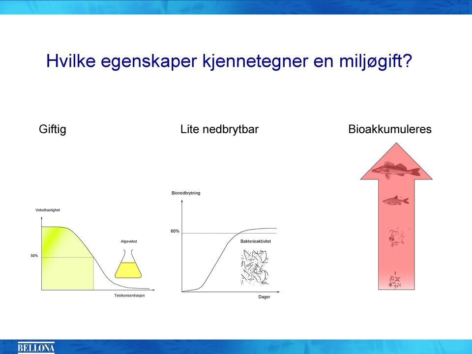 Giftig Lite nedbrytbar Bioakkumuleres