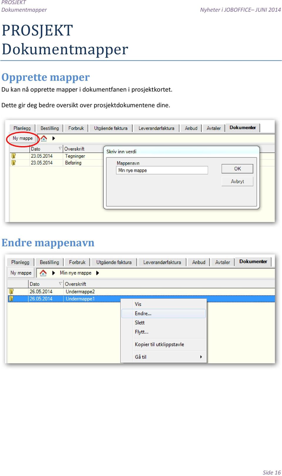 mapper i dokumentfanen i prosjektkortet.