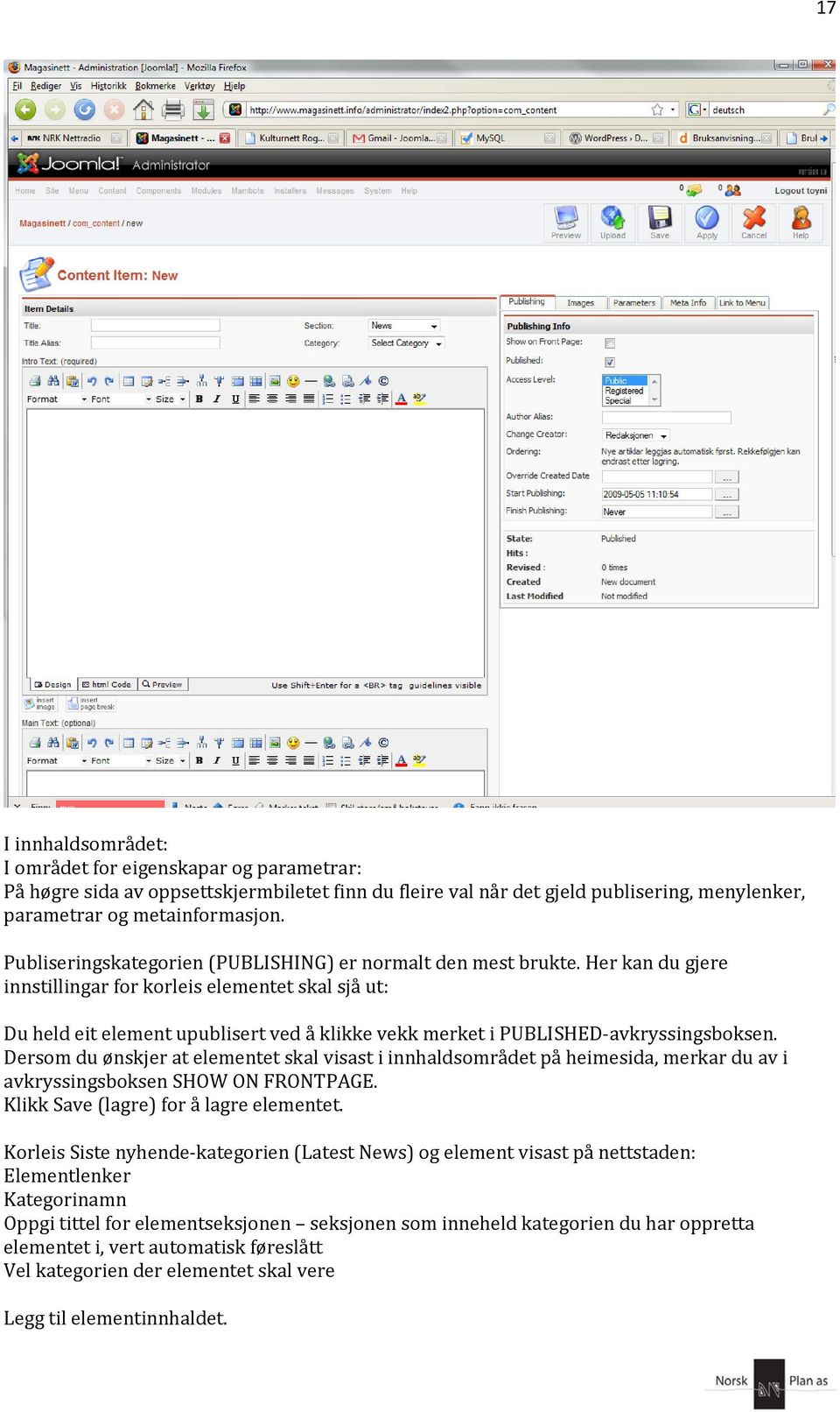 Her kan du gjere innstillingar for korleis elementet skal sjå ut: Du held eit element upublisert ved å klikke vekk merket i PUBLISHED avkryssingsboksen.