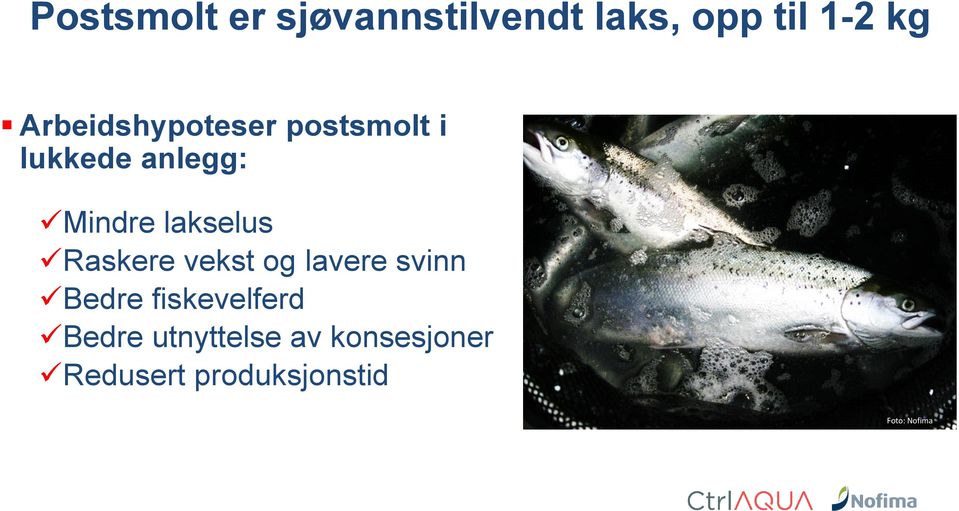 lakselus Raskere vekst og lavere svinn Bedre fiskevelferd