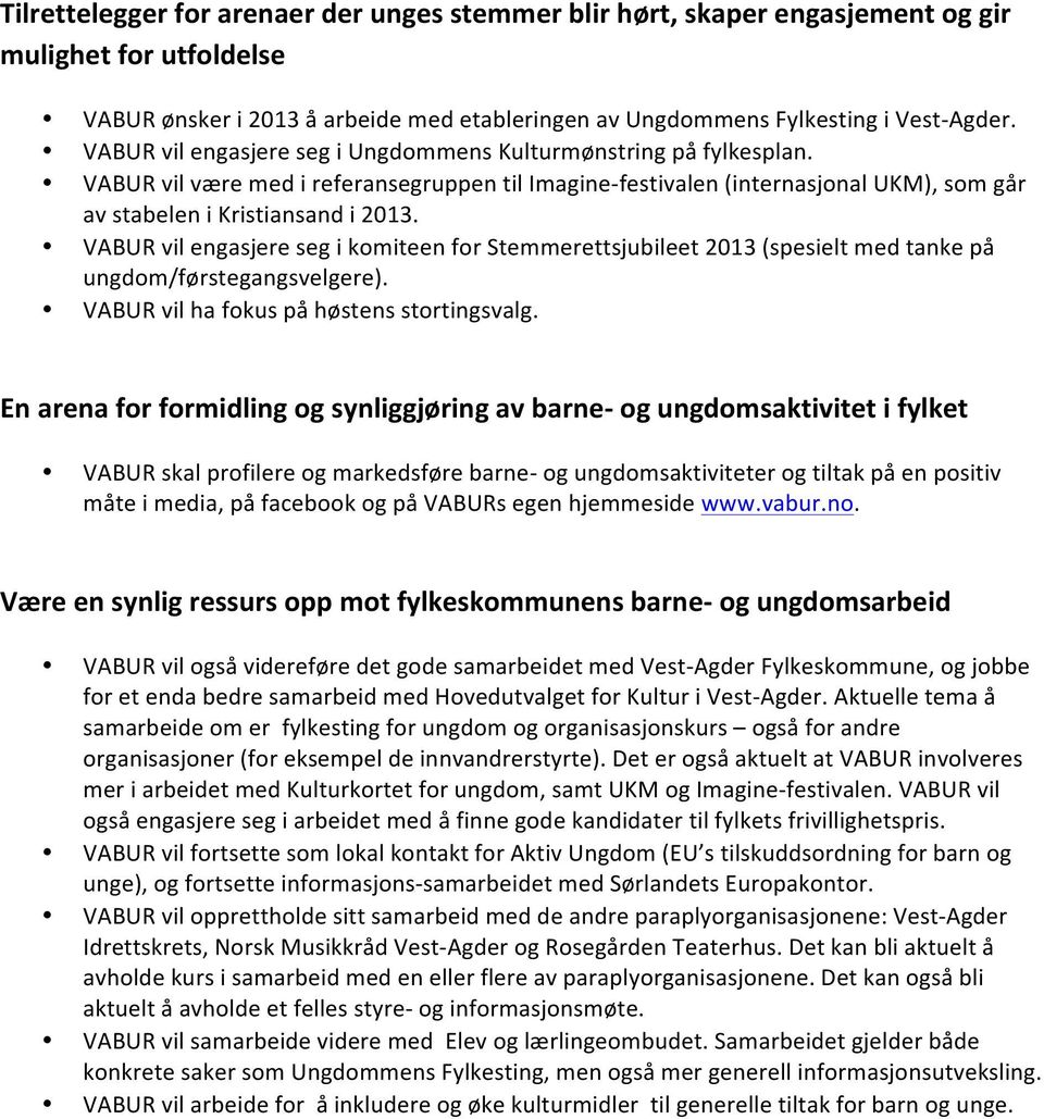 VABUR vil engasjere seg i komiteen for Stemmerettsjubileet 2013 (spesielt med tanke på ungdom/førstegangsvelgere). VABUR vil ha fokus på høstens stortingsvalg.