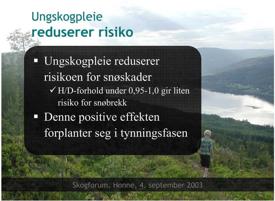 liten risiko for snøbrekk Denne positive effekten