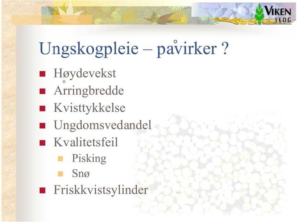 Kvisttykkelse Ungdomsvedandel