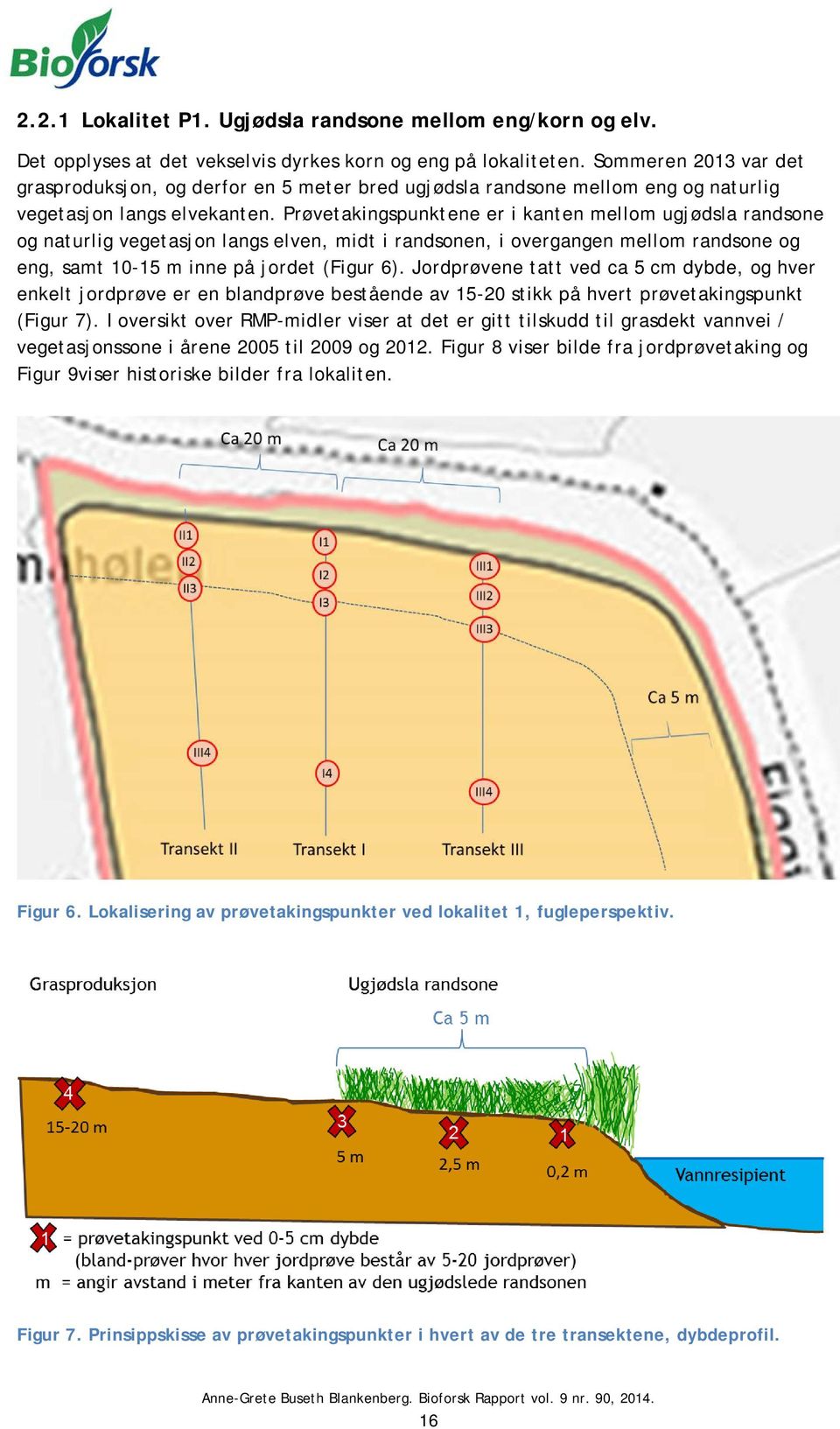 Prøvetakingspunktene er i kanten mellom ugjødsla randsone og naturlig vegetasjon langs elven, midt i randsonen, i overgangen mellom randsone og eng, samt 10-15 m inne på jordet (Figur 6).